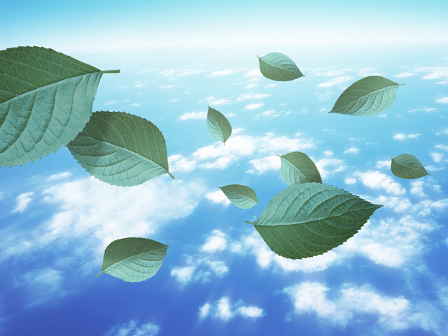 商品・サービスを安売りして失う大切なことイメージ